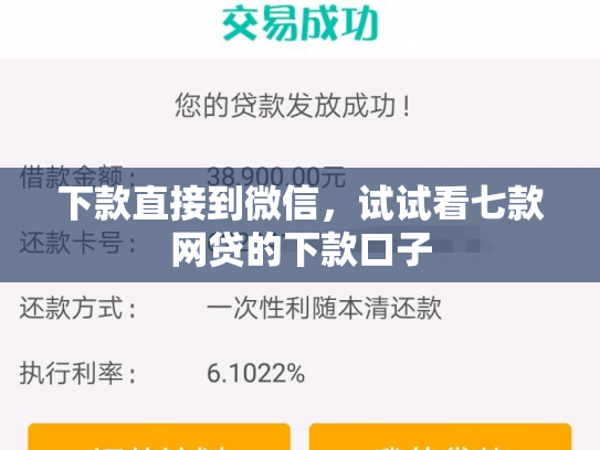 下款直接到微信，试试看七款网贷的下款口子