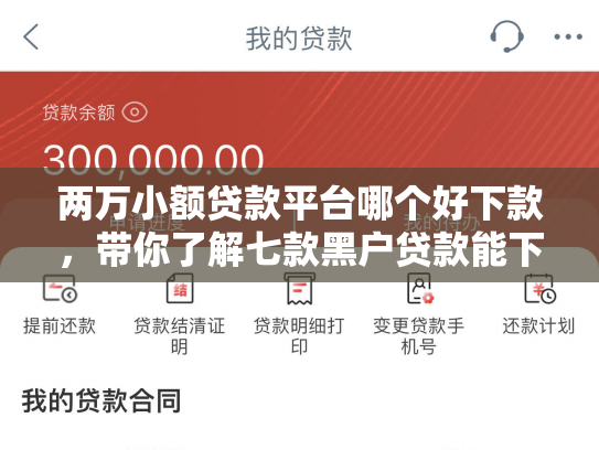 两万小额贷款平台哪个好下款，带你了解七款黑户贷款能下款吗知乎