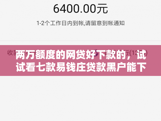 两万额度的网贷好下款的，试试看七款易钱庄贷款黑户能下款吗