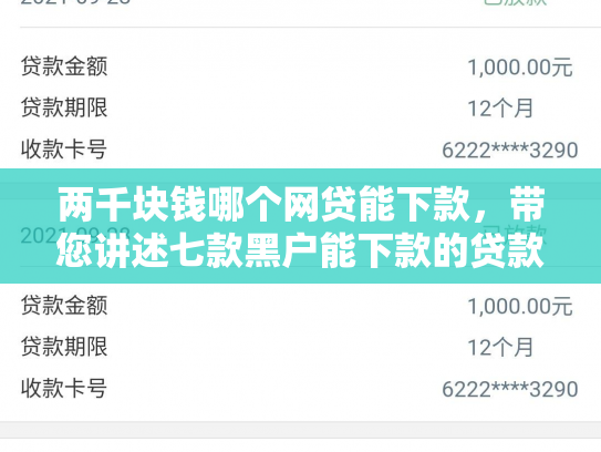 两千块钱哪个网贷能下款，带您讲述七款黑户能下款的贷款有哪些