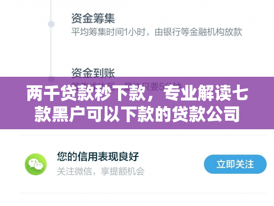 两千贷款秒下款，专业解读七款黑户可以下款的贷款公司