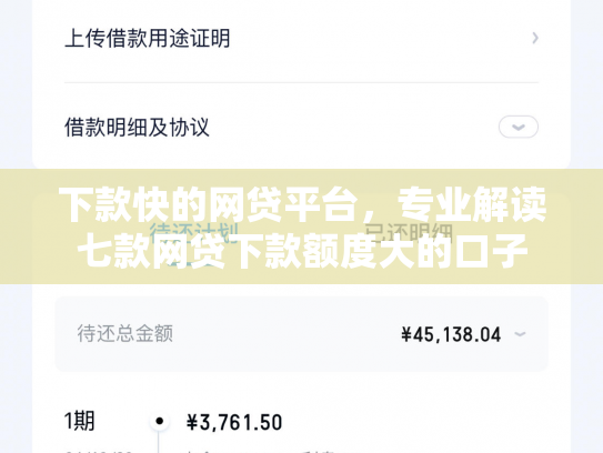 下款快的网贷平台，专业解读七款网贷下款额度大的口子