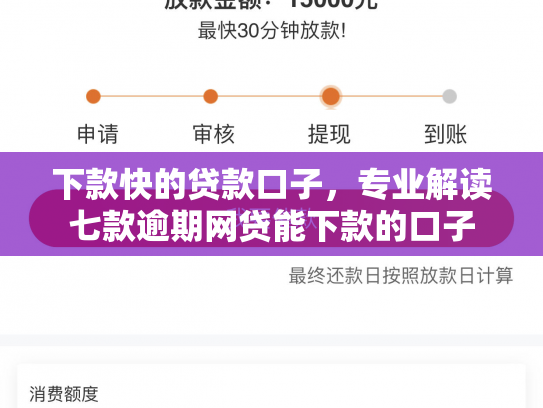 下款快的贷款口子，专业解读七款逾期网贷能下款的口子