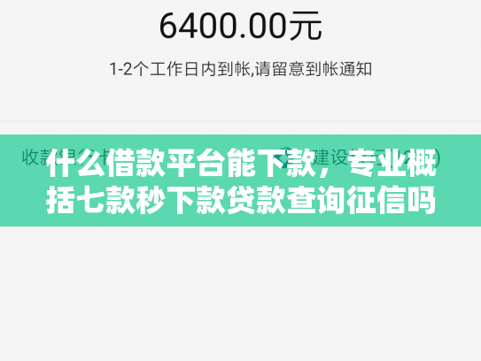 什么借款平台能下款，专业概括七款秒下款贷款查询征信吗