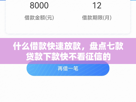 什么借款快速放款，盘点七款贷款下款快不看征信的