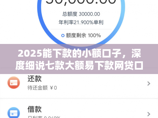 2025能下款的小额口子，深度细说七款大额易下款网贷口子