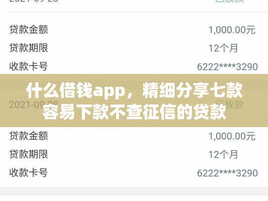 什么借钱app，精细分享七款容易下款不查征信的贷款