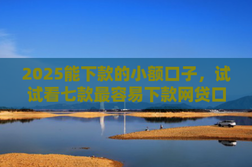 2025能下款的小额口子，试试看七款最容易下款网贷口子