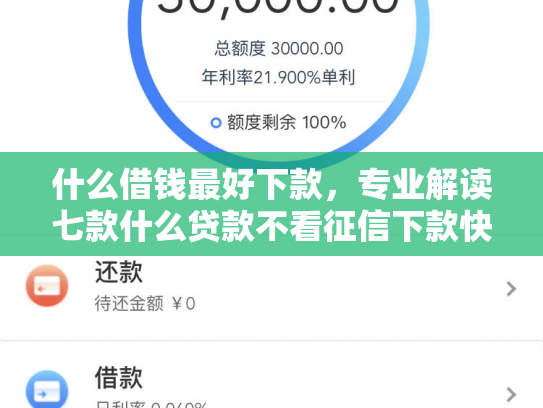 什么借钱最好下款，专业解读七款什么贷款不看征信下款快