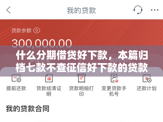 什么分期借贷好下款，本篇归档七款不查征信好下款的贷款
