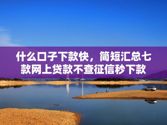 什么口子下款快，简短汇总七款网上贷款不查征信秒下款