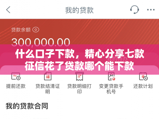 什么口子下款，精心分享七款征信花了贷款哪个能下款