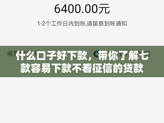 什么口子好下款，带你了解七款容易下款不看征信的贷款