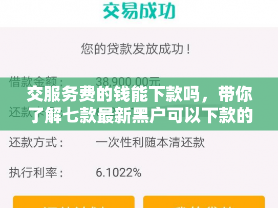 交服务费的钱能下款吗，带你了解七款最新黑户可以下款的网贷