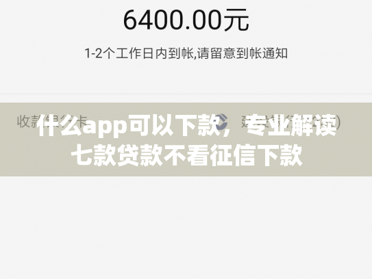 什么app可以下款，专业解读七款贷款不看征信下款