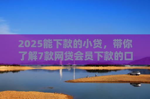2025能下款的小贷，带你了解7款网贷会员下款的口子