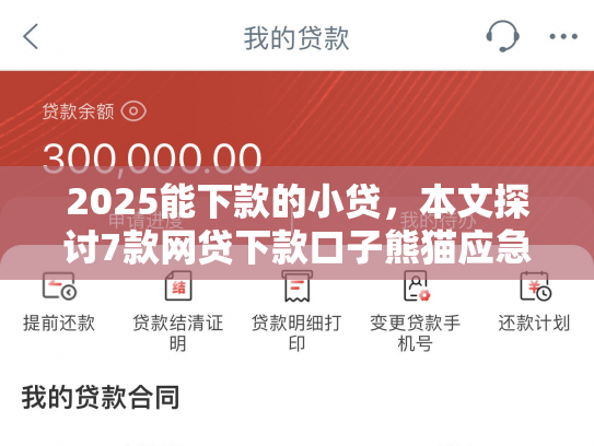 2025能下款的小贷，本文探讨7款网贷下款口子熊猫应急