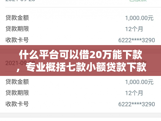 什么平台可以借20万能下款，专业概括七款小额贷款下款快不查征信