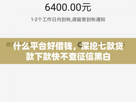 什么平台好借钱，深挖七款贷款下款快不查征信黑白