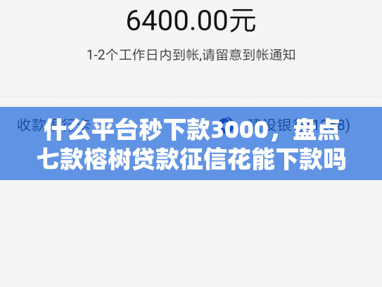 什么平台秒下款3000，盘点七款榕树贷款征信花能下款吗