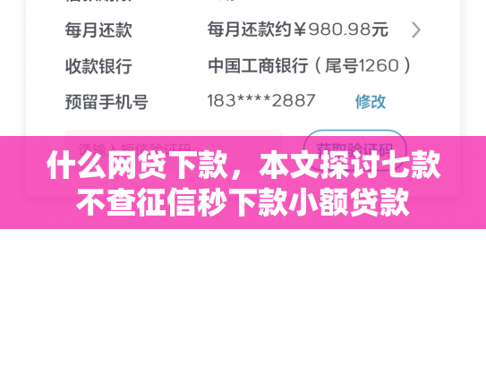 什么网贷下款，本文探讨七款不查征信秒下款小额贷款