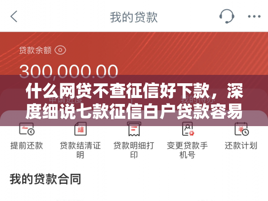 什么网贷不查征信好下款，深度细说七款征信白户贷款容易下款吗