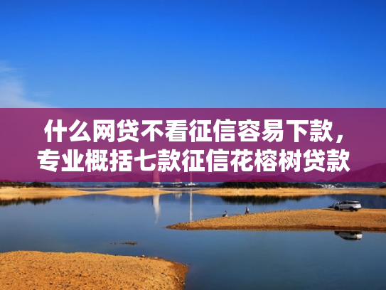什么网贷不看征信容易下款，专业概括七款征信花榕树贷款能下款吗