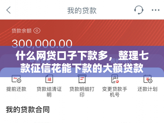 什么网贷口子下款多，整理七款征信花能下款的大额贷款