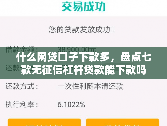 什么网贷口子下款多，盘点七款无征信杠杆贷款能下款吗