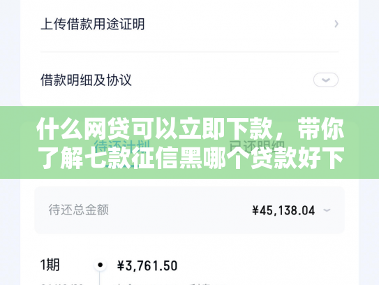 什么网贷可以立即下款，带你了解七款征信黑哪个贷款好下款