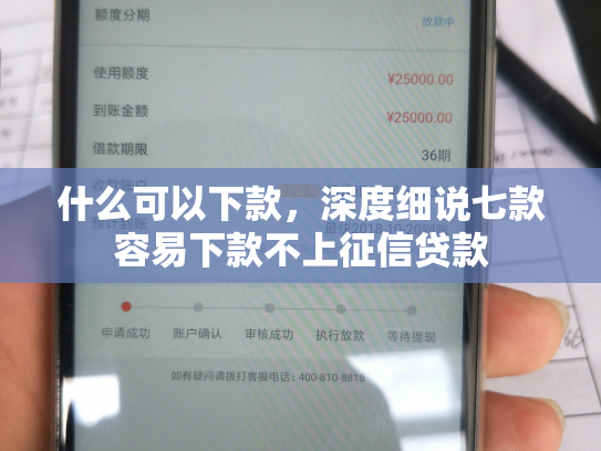 什么可以下款，深度细说七款容易下款不上征信贷款