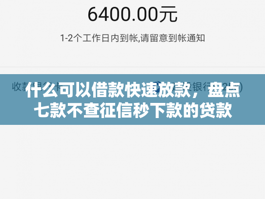 什么可以借款快速放款，盘点七款不查征信秒下款的贷款