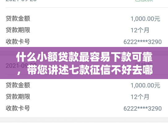 什么小额贷款最容易下款可靠，带您讲述七款征信不好去哪贷款下款快