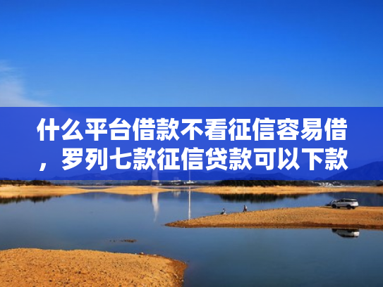 什么平台借款不看征信容易借，罗列七款征信贷款可以下款吗