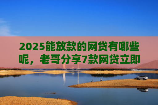 2025能放款的网贷有哪些呢，老哥分享7款网贷立即下款的口子