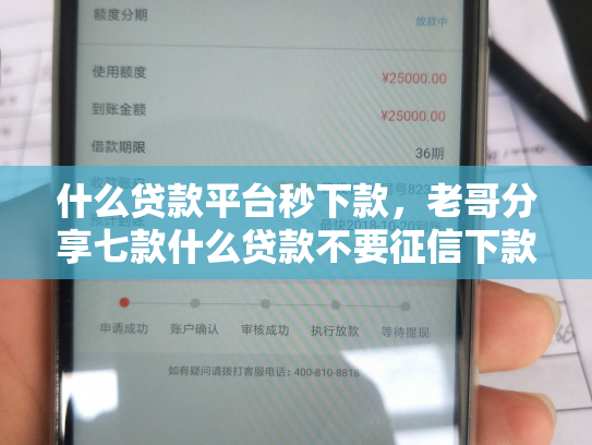 什么贷款平台秒下款，老哥分享七款什么贷款不要征信下款快
