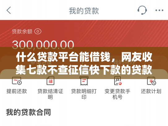 什么贷款平台能借钱，网友收集七款不查征信快下款的贷款
