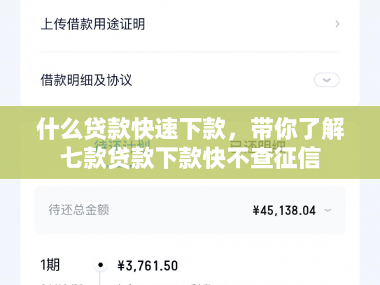 什么贷款快速下款，带你了解七款贷款下款快不查征信