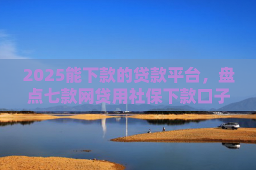 2025能下款的贷款平台，盘点七款网贷用社保下款口子
