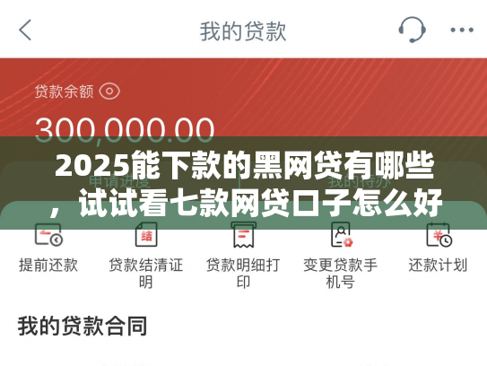 2025能下款的黑网贷有哪些，试试看七款网贷口子怎么好下款