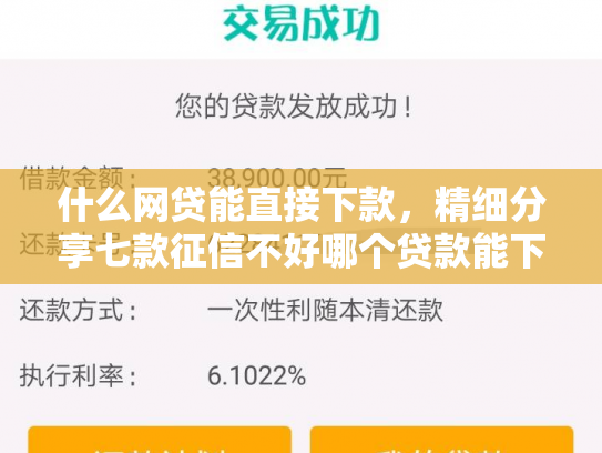 什么网贷能直接下款，精细分享七款征信不好哪个贷款能下款
