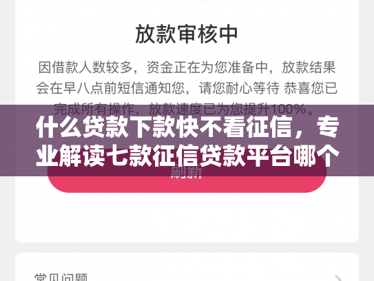 什么贷款下款快不看征信，专业解读七款征信贷款平台哪个好下款