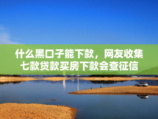 什么黑口子能下款，网友收集七款贷款买房下款会查征信
