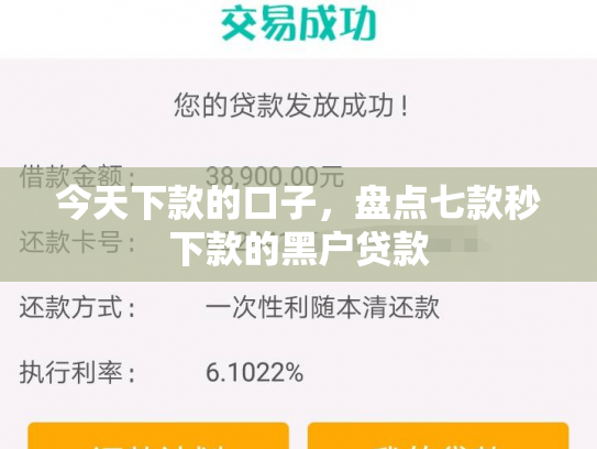 今天下款的口子，盘点七款秒下款的黑户贷款