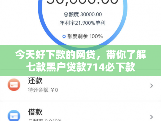 今天好下款的网贷，带你了解七款黑户贷款714必下款