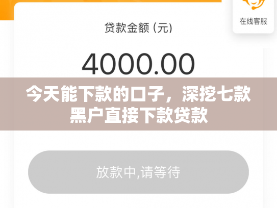 今天能下款的口子，深挖七款黑户直接下款贷款