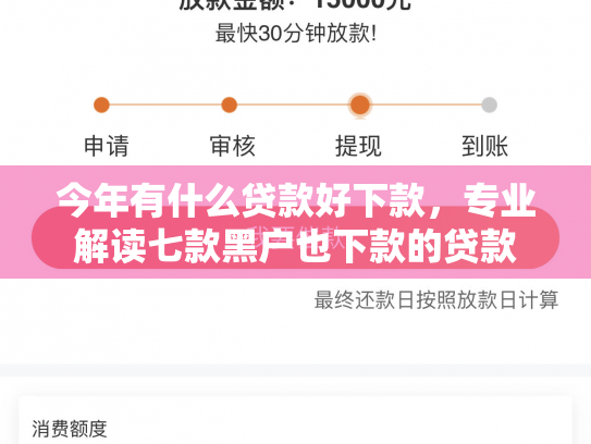 今年有什么贷款好下款，专业解读七款黑户也下款的贷款