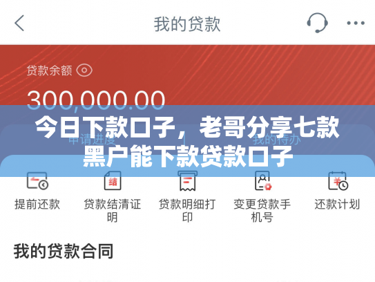 今日下款口子，老哥分享七款黑户能下款贷款口子