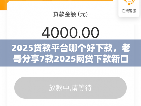 2025贷款平台哪个好下款，老哥分享7款2025网贷下款新口子