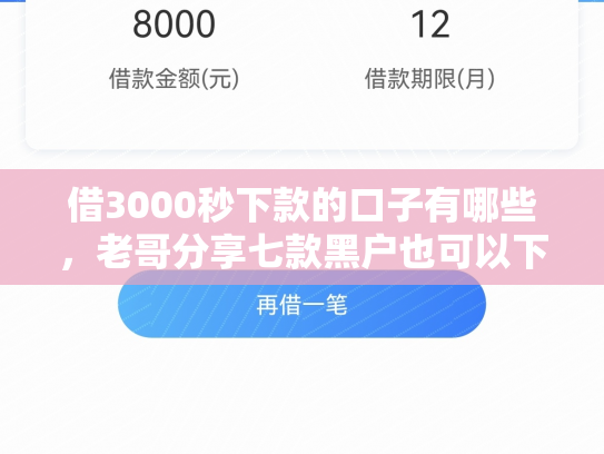 借3000秒下款的口子有哪些，老哥分享七款黑户也可以下款的网贷